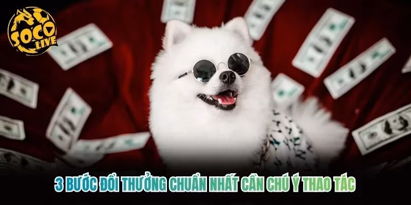 3 bước đổi thưởng chuẩn nhất cần chú ý thao tác