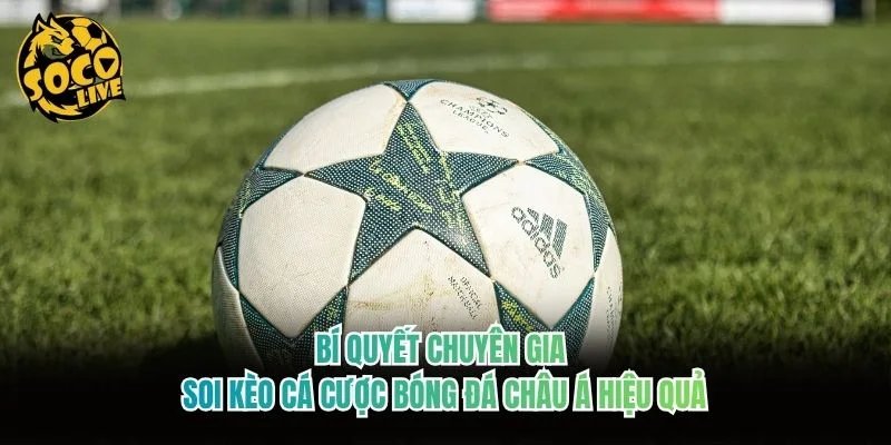 Bí quyết chuyên gia soi kèo cá cược bóng đá châu Á hiệu quả