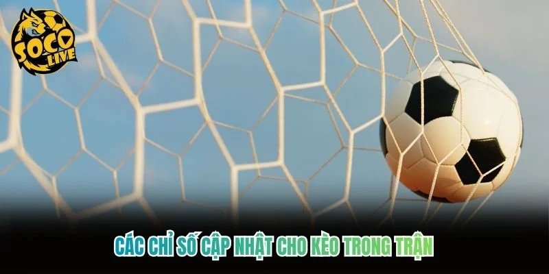 Các chỉ số cập nhật cho kèo trong trận