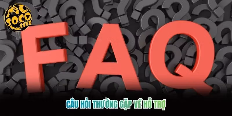 Câu hỏi thường gặp về hỗ trợ