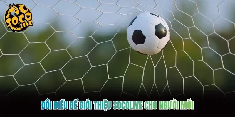 Đôi điều để giới thiệu Socolive cho người mới Đôi điều để giới thiệu Socolive cho người mới