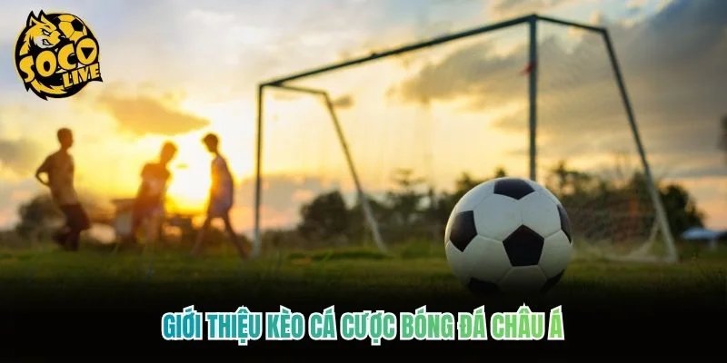 Giới thiệu kèo cá cược bóng đá châu Á
