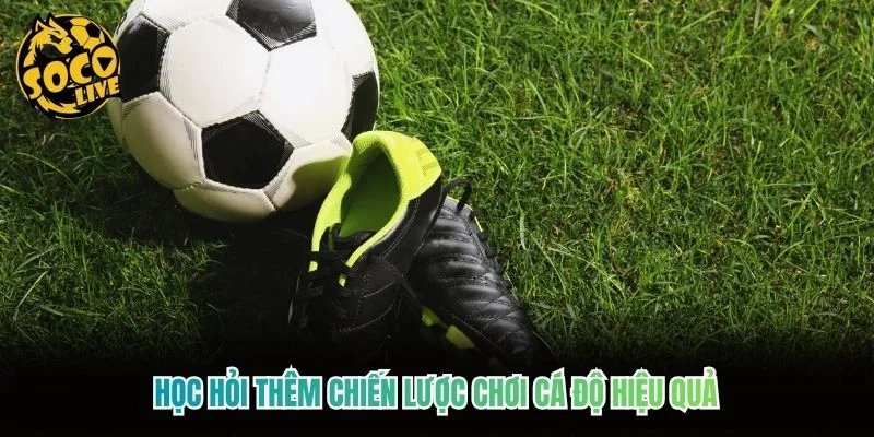 Học hỏi thêm chiến lược chơi cá độ hiệu quả