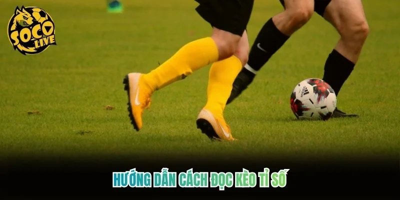 Hướng dẫn cách đọc kèo tỉ số Hướng dẫn cách đọc kèo tỉ số