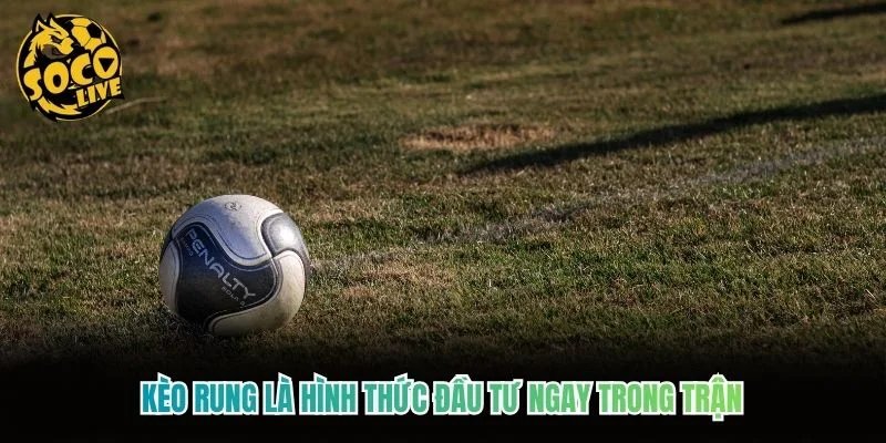 Kèo rung là hình thức đầu tư ngay trong trận