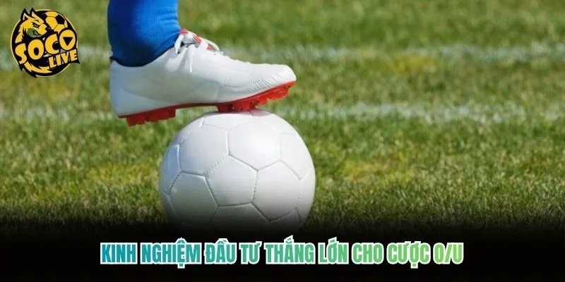Kinh nghiệm đầu tư thắng lớn cho cược O/U Kinh nghiệm đầu tư thắng lớn cho cược O/U