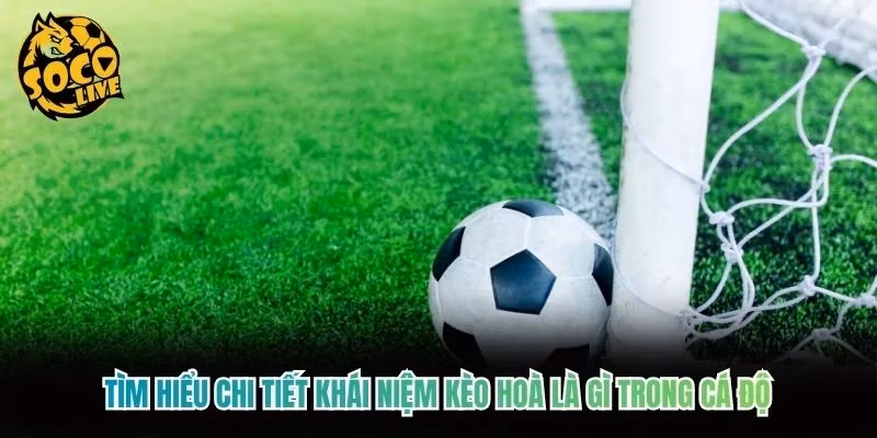Tìm hiểu chi tiết khái niệm kèo hoà là gì trong cá độ Tìm hiểu chi tiết khái niệm kèo hoà là gì trong cá độ
