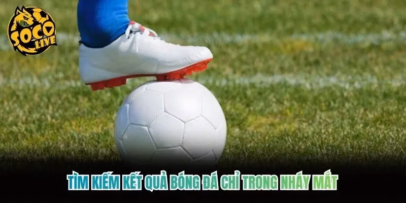 Tìm kiếm kết quả bóng đá chỉ trong nháy mắt