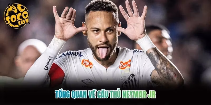 Tổng quan về cầu thủ Neymar Jr
